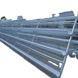 Poultry cage wholesale Galvanized A type 3 layer chick cage for farm