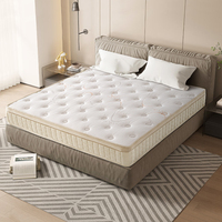 King mousse à mémoire de forme hybride en peluche souple avec ressorts ensachés Matelas
