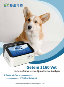 <span class=keywords><strong>Point</strong></span> <span class=keywords><strong>Of</strong></span> <span class=keywords><strong>Care</strong></span> Test Getein 1160 Dierenarts Veterinaire Analysator Ziekenhuisapparatuur - Product Image 2