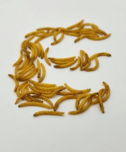 Vermi Essiccati Originali di Fabbrica all'Ingrosso, Alimento ad Alto Contenuto Proteico per Gattini, Cuccioli, Pesci d'Acquario e Uccelli Selvatici - Product Image 4