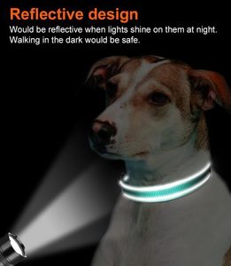 Kerah anjing reflektif untuk anjing besar, keselamatan berjalan malam, nilon empuk & bernapas Neoprene lembut, PAS dapat disesuaikan, <span class=keywords><strong>Teal</strong></span> - Product Image 6
