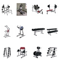 Machine à Élévation Latérale des Épaules de Haute Qualité Série SM LF, Équipement de Fitness pour Salle de Sport, Prix d'Usine, Réglable, Acier, Charge par Broche
