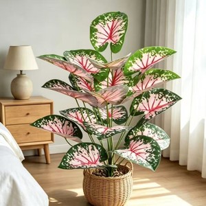 Caladium rose artificiel en pot, plante décorative d'intérieur et d'extérieur, fausse fleur, verdure - Product Image 2