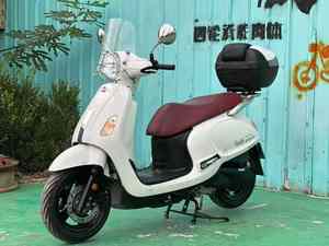 Moto de <span class=keywords><strong>motocross</strong></span> de voyage Sanyang Fedu4 125CC Cruiser d'<span class=keywords><strong>occasion</strong></span> avec vitesse maximale> 80 km/h - Product Image 3