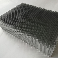 Noyau en nid d'abeille en aluminium perforé pour applications de plafonds acoustiques légers
