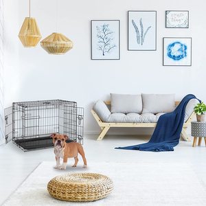 <span class=keywords><strong>Cage</strong></span> pour chien en fil métallique pliant à Double porte à revêtement électronique noir chenil pour animaux de compagnie pour l'entraînement des chiens avec diviseur - Product Image 1