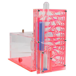 Villa e Terrario Trasparente in Acrilico per Formiche: Un Regno e un Palazzo per la Tua Colonia di Formiche - Product Image 4