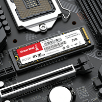 GreatWall 256 Go M.2 NVMe SSD 2280 PCIe Gen3.0x4 pour Ordinateur Portable et Serveur, Boîtier Métallique, Vente Directe Usine