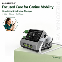 Appareil de thérapie par ondes de choc vétérinaire pour chevaux, chiens, chats, médecine sportive, réadaptation, équipement clinique