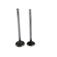 Soupape d'admission du moteur OE E4G16-1007011 compatible avec Chery Tiggo 7 8 Jetour X70 Plus X90 Exeed LX Kaiyi X3 SQRE4T15C 1.5T Pièces détachées