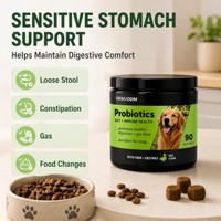 Complément alimentaire pour animaux de compagnie, comprimés probiotiques pour chiens, OEM/ODM, soutient la santé intestinale et la fonction digestive, soutient le système immunitaire, soutient la flore intestinale