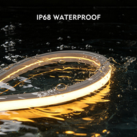 Bande lumineuse LED néon flexible 24V IP68 étanche en silicone, haute luminosité, certifiée CE RoHS pour piscine sous-marine