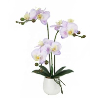 Plante artificielle d'orchidée de 46 cm de haut avec pot en ciment, fleurs d'orchidée artificielles