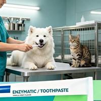 Dentifrice enzymatique OEM pour chiens et chats, saveur menthe vanille, nettoyage doux des dents et soin buccal pour une haleine fraîche