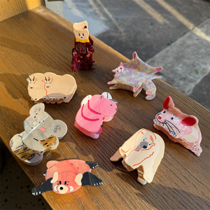 2024 populaire mignon Animal brun Hydrochoerus femmes dessin animé cellulose acétate écureuil cheveux griffe Clips - Product Image 1