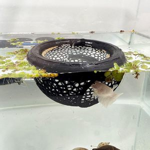 Piccola plastica galleggiante <span class=keywords><strong>Betta</strong></span> gamberetti mangiatoia grotta amaca per acquario accessorio decorativo pelli di <span class=keywords><strong>pesce</strong></span> nascondendo accessori Bettas - Product Image 1