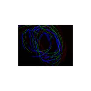 HQ-Power LED GANTS DE SOIRÉE - Product Image 3