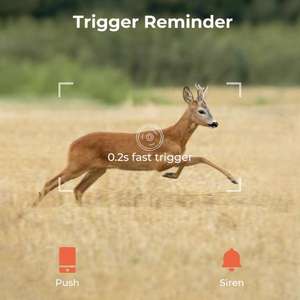 Nouvelle arrivée Caméra de surveillance de la faune de <span class=keywords><strong>chasse</strong></span> sans fil 4G 14MP 2K 940nm Vision nocturne sans éclat IP66 Étanche CMOS - Product Image 5