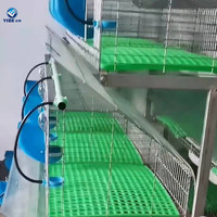Meilleure Vente Cage à Lapins Économique avec Bacs en Plastique / Cages à Lapins à Deux Étages à Vendre (Usine)