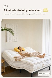Materasso Elettrico Intelligente Artigianale in Crine di Cavallo 280mm, Qualità di Lusso, Multifunzionale, Letto Regolabile per un Sonno Ottimale - Product Image 2