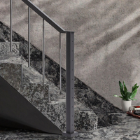 Barrières de balcon en acier inoxydable, design rétro pour villa et ferme, rampes d'escalier réglables, garde-corps