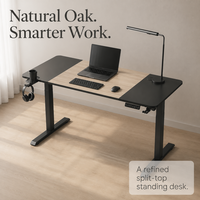 Bureau électrique réglable en hauteur AOR Rebound, type divisé, vitesse de levage 20 mm/s, pour bureau à domicile, vente en gros usine