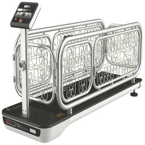 Cinta de correr de acero de moda para entrenamiento de perros, equipo de fitness para mascotas, para caminar y correr. - Product Image 5