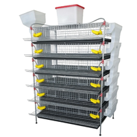 Systèmes d'élevage d'oiseaux modernes de type H à plusieurs niveaux avec solutions d'alimentation efficaces, construction en acier galvanisé, faciles à assembler