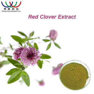 최고 등급 40% Isoflavones 허브 레드 클로버 재고 레드 클로버 추출물 잎 꽃 보충 식품 건강 - Product Image 6