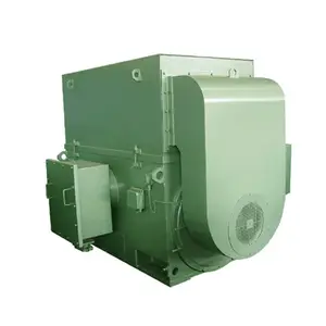 High Voltage 3 Phase 2 Pole 280kw 3000rpm YKK Ip55 Asynchronous Industrial Squirrel Cage 6kv IEC IC611 Electric Induction Motor