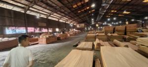 Madera contrachapada personalizable de Keruing indonesio, paneles decorados multicapa de alta calidad, pino estándar de formaldehído E0 para uso hospitalario - Product Image 3