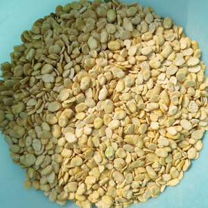 automatic Italia fava bean peeling macchina via secca - Product Image 2