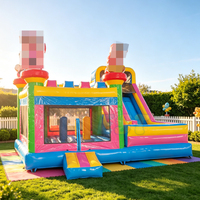 Grand château gonflable pour adultes, combo de château gonflable à thème de dessin animé, directement de l'usine, château gonflable commercial pour enfants