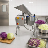 Industriële groentesnijmachine, commerciële snijmachine, multifunctionele aardappel- en wortelsnijder, roestvrij staal 304