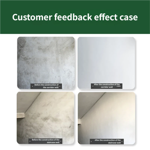 Revestimiento de Pared <span class=keywords><strong>Exterior</strong></span> a Base de <span class=keywords><strong>Cemento</strong></span> Blanco, Revestimiento para Nivelar Grietas en Paredes, Revestimiento para Paredes de Construcción, Revestimiento para Alisar y Nivelar Paredes - Product Image 4