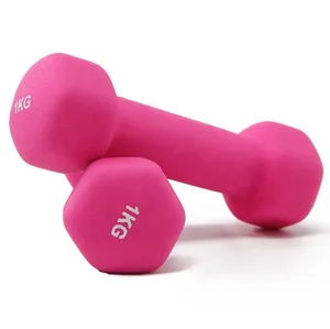 Colorful Hexagonal Cast Iron Hex Dumbbell Hand Weight Dumbbells for Women Kids Neoprene Urethane Hex Dumbbells