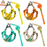 Harnais pour chien Petop de luxe, personnalisé, imprimé dessin animé, réfléchissant, respirant, en maille, avec sangle en nylon réglable