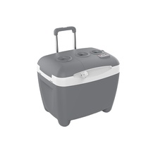 Mini glacière portable électrique de camping de 50l avec roues peut chauffer et refroidir DC 12V,AC 100V-240V glacière