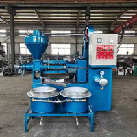 Presse à huile de noix de coco 100-150 kg/h, machine de pressage d'huile de coprah pour la production d'huile d'olive, de soja et de noix