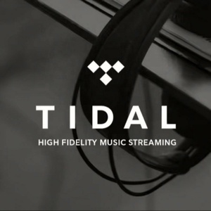 บัญชี Tidal Music Premium 6 เดือน บริการสตรีมมิ่ง HiFi Plus - Product Image 6
