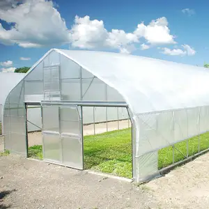 China manufacturer hydroponic growing greenhouse tunnel with irrigation system
