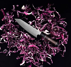 <span class=keywords><strong>Offre</strong></span> spéciale 8 pouces VG10 couteau <span class=keywords><strong>de</strong></span> <span class=keywords><strong>cuisine</strong></span> japonais fait main Kiritsuke couteau <span class=keywords><strong>de</strong></span> <span class=keywords><strong>chef</strong></span> en acier damas - Product Image 5