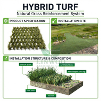 Gazon artificiel hybride 100 % recyclable, facile à installer, durable, pour l'aménagement de pelouses publiques