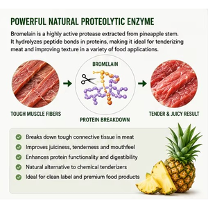 Bromelina in Polvere Alimentare 2400 GDU, Estratto Enzimatico Proteolitico ad Alta Attività, Fornitura all'Ingrosso per Settore Alimentare e Farmaceutico - Product Image 5