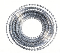 Fil barbelé concertina galvanisé haute sécurité BTO-22 CBT-65 pour la protection des frontières