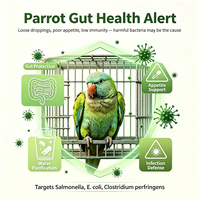 Gouttes probiotiques pour perroquets avec bactériophages pour oiseaux, soutien de la santé intestinale, Lactobacillus Acidophilus Candida Utilis, 30 ml