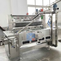 Nouvelle machine à bonbons de longue date du fabricant, équipement de fabrication de bonbons gélifiés en forme d'ours en gélatine pour les usines alimentaires, appareil à sucettes et à caramel
