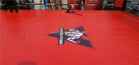 Conception gratuite Logo personnalisé Anneau de lutte de 5m x 5m avec escalier Anneau MMA carré à cadre facile à assembler de haute qualité à vendre
