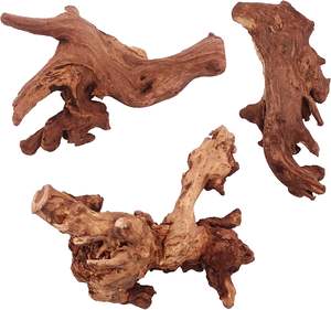 Mangrove en bois flotté - Product Image 3