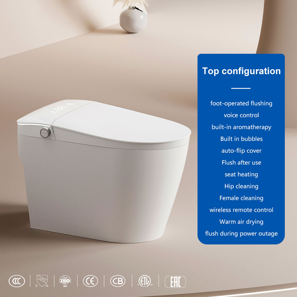 Valvola a impulsi bianca 705D-110V~